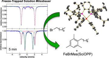 a combined mossbauer magnetic circular dichroism and density functional theory approach for iron cross coupling catalysis
