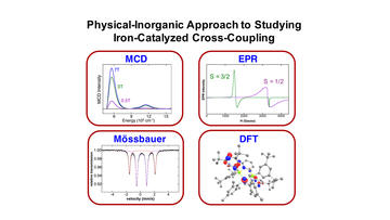 a physical inorganic approach for the elucidation of active iron species and mechanism in iron catalyzed cross coupling 2