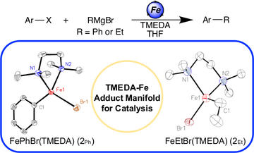 a tmeda iron adduct reaction manifold in iron catalyzed csp2csp3 cross coupling reactions