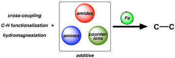 additive and counterion effects in iron catalyzed reactions relevant to c c bond formation