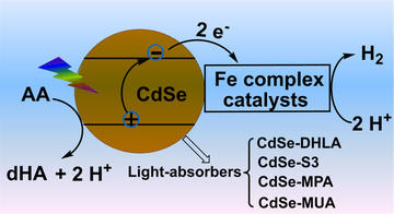 catalytic light driven generation of hydrogen from water by iron dithiolene complexes