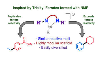 dilithium amides as a modular bis anionic ligand platform for iron catalyzed cross coupling