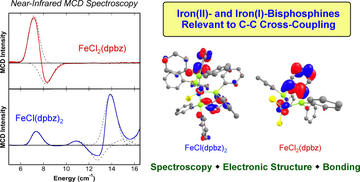 electronic structure and bonding in ironii and ironi complexes bearing bisphosphine ligands of relevance to iron catalyzed c c cross coupling