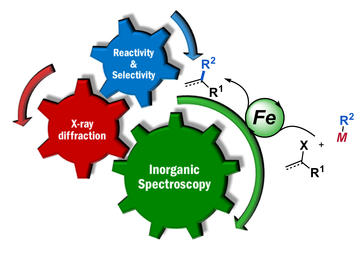intermediates and mechanism in iron catalyzed cross coupling