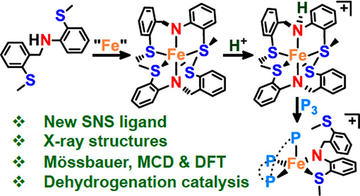 ironii complexes of a hemilabile sns amido ligandsynthesis characterization and reactivity
