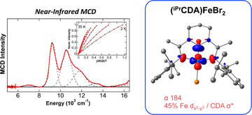 magnetic circular dichroism and density functional theory studies of ironii pincer complexes
