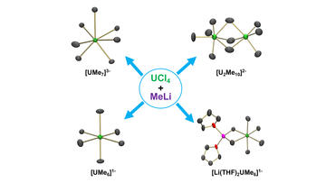 the exceptional diversity of homoleptic uranium methyl complexes 2